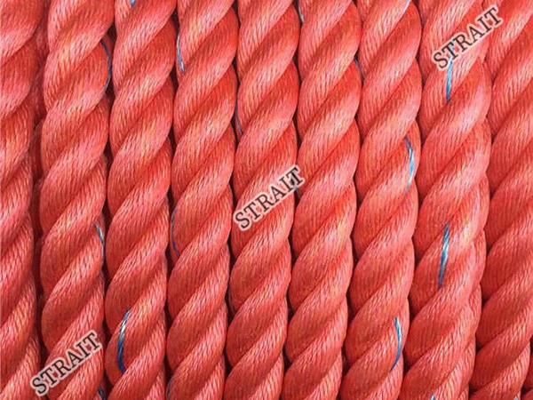 product-600-450